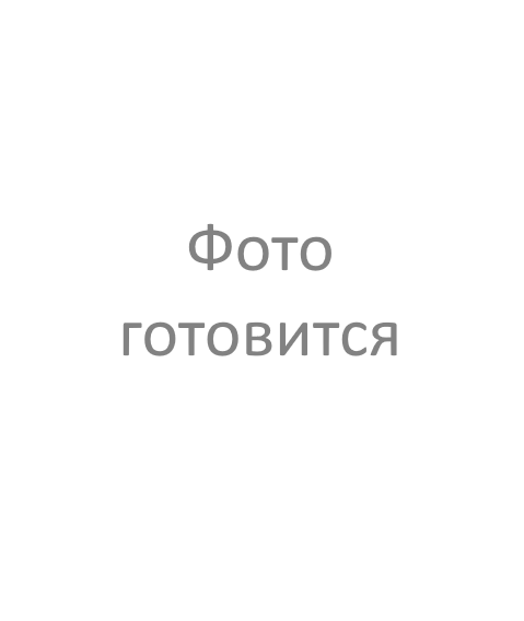 Алексей Олегович Макжанов